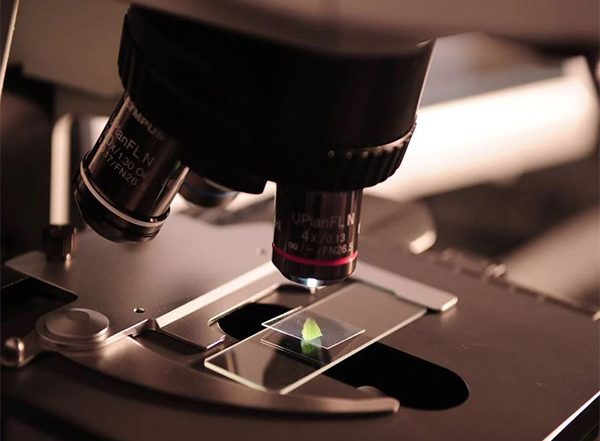 Business News | Centre Raises Financial Threshold for Procurement of Scientific Equipment, Consumables