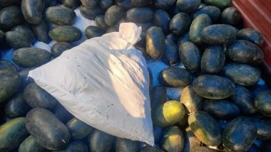 India News | Delhi Police Bust Interstate Drug Syndicate, Seize 348 Kg of Ganja