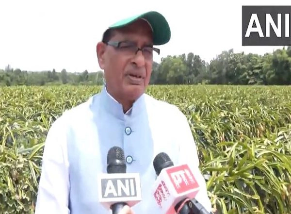 India News | Union Minister Shivraj Singh Chouhan Visits Dragonfruit Farm in Bengaluru Rural Under Viksit Krishi Sankalp Abhiyaan