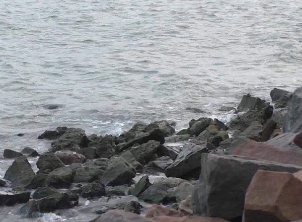 India News | Tamil Nadu: Plastic Recycling Work at Muthunagar Beach Marks World Oceans Day