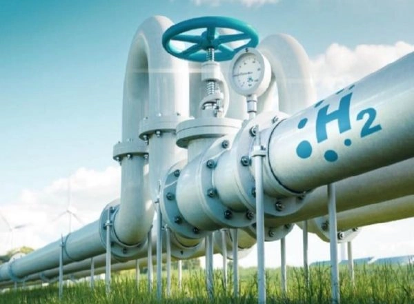 Business News | Cost of Green Hydrogen in India Set to Fall by Up to 40%: Report