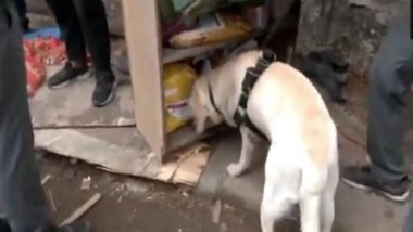 India News | Air India Sets Up Assistance Centres for Families of Passengers on Flight AI171