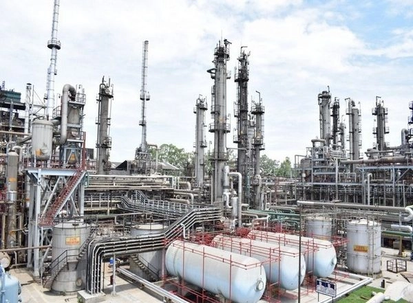 Business News | India's Biofuel Sector Transitioning from Promise to Partial Implementation: Report
