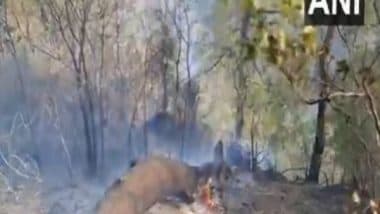 India News | J-K: Forest Fire Near NH-144A Brought Under Control