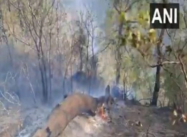 India News | J-K: Forest Fire Near NH-144A Brought Under Control