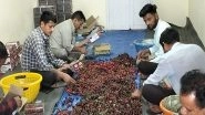India News | 'Crop is Badly Affected by Weather': Cherry Growers in Himachal Disappointed by Poor Yield