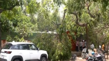 India News | Delhi: 2 Men, Street Dog Die of Electrocution in RK Puram