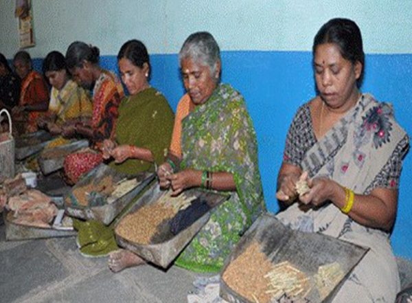 India News | Labour Welfare Schemes Extend Support to 50 Lakh Workers Across Country