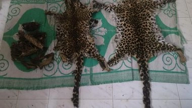 India News | DRI Seizes Leopard Skins and Bones, Arrests One Trafficker