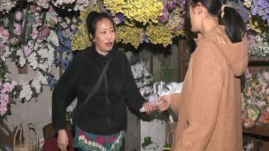 India News | Manipur Artist Inspires with Dolls Made from Repurposed Vegetable Refuse