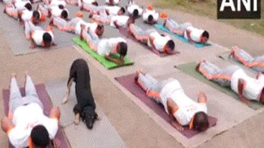 India News | J-K: NDRF-trained Stray Dog Steals Spotlight at Udhampur Yoga Session Ahead of International Yoga Day