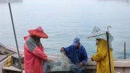 World News | Amid National Security Concerns, Taiwan to Remove Illegal Chinese Oyster Racks from Its Territorial Waters
