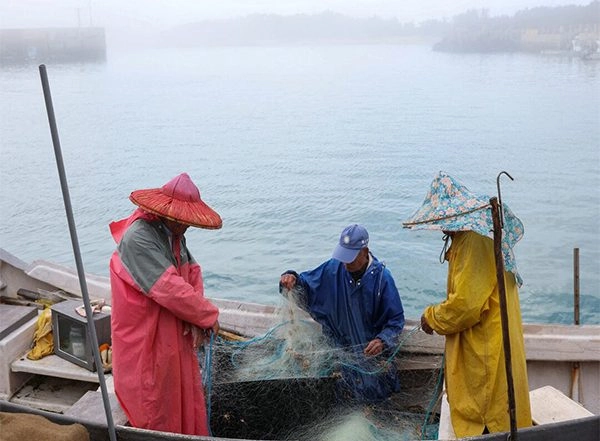 World News | Amid National Security Concerns, Taiwan to Remove Illegal Chinese Oyster Racks from Its Territorial Waters