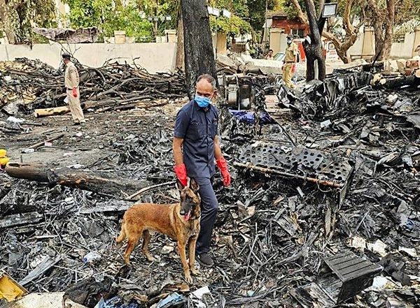 India News | AI 171 Crash: 202 Bodies Handed over and 220 Victims Identified, Says Gujarat Minister Rushikesh Patel