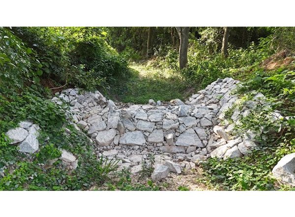 Business News | Reclaiming Water, Restoring Hope for Kolar: The Art of Living & Ashirvad
