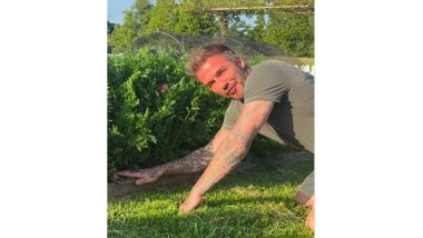 Entertainment News | David Beckham Shows off His Gardening Skills, Leaves Wife Victoria in Splits