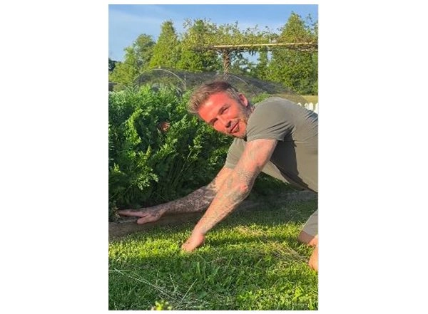 Entertainment News | David Beckham Shows off His Gardening Skills, Leaves Wife Victoria in Splits