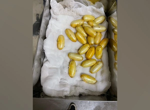 India News | DRI Mumbai Arrests Passenger After Cocaine Valued at Rs 11.39 Cr Found in His Possession