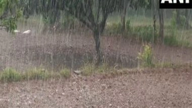 India News | Rainfall in Udhampur's Chanthal Village Revives Hope for Growth of Paddy Crop in Farmers