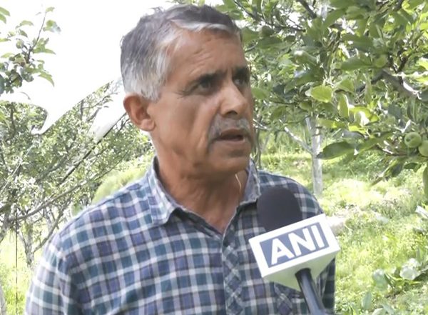 India News | Himachal: Apple Farmers Adopt Anti-hail Nets to Protect Crop, Seek Timely Subsidy and End to Unscientific Crop Assessment