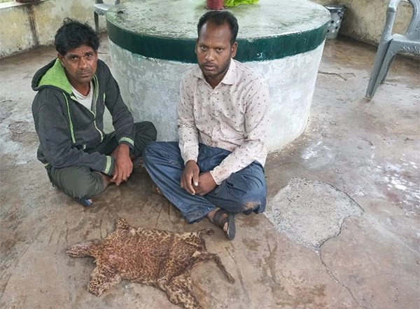 India News | Joint Operation Cracks Down on Illegal Wildlife Trade in Gujarat's Valsad; Three Held
