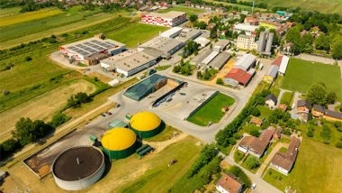 Business News |  Govt Revises Biomass Guidelines to Boost Bio Energy and Ease of Doing Business