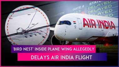 Air India Flight AI2354 Faces Delay Allegedly After ‘Bird Nest’ Found Inside Aircraft Wing, Video Surfaces
