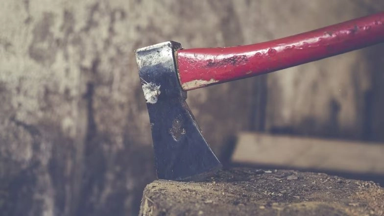 Maharashtra: Woman Kills Husband 15 Days After Marriage With Axe in Sangli, Held