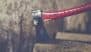Raja Raghuvanshi-Like Murder Case in Sangli: Woman Kills Husband 15 Days After Marriage With Axe in Maharashtra; Arrested