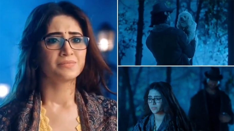 Harshad Chopda’s Grand Comeback in Bade Achhe Lagte Hain 4 Wins Over Fans