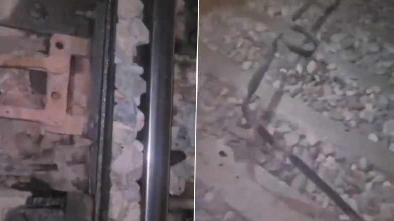 Train Accident Averted in Uttar Pradesh: Alert Loco Driver of Bareilly-Tanakpur Passenger Train Prevents Major Accident After Unruly Elements Fill Railway Track With Stones (Watch Video)