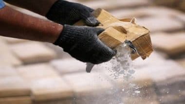 Bengaluru Drug Smuggling Bust: Foreign National Arrested With 5.3 kg of Banned MDMA Crystals Worth INR 10 Crore Near Rajanukunte