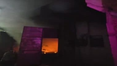 Delhi Fire: Massive Blaze Erupts at Factory Near Rithala Metro Station, 16 Fire Tenders Rushed To Spot (Watch Video)