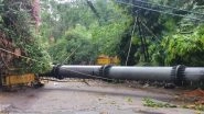 Delhi Mobile Tower Collapse: 100-Feet-Tall Mobile Tower Collapses in Safdarjung Enclave Following Overnight Rainfall in National Capital, No Injuries Reported (See Pic and Videos)