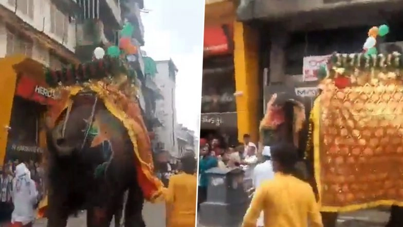 Jagannath Rath Yatra in Ahmedabad Disrupted as 3 Elephants Go Berserk in Khadiya Area, Videos Capture Terrifying Moment as Jumbos Run Out of Control on Street