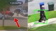 Lakewood: Elderly Woman Hospitalised After Brutal Broad-Daylight Attack by Juvenile During Purse Robbery in California; Suspect Arrested After Video Goes Viral