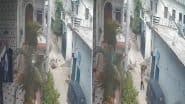 Unnao Bull Attack Caught on Camera: Man Killed, Nephew Injured as Aggressive Bull Flings Victim Into Air and Tramples Him in UP; Disturbing Video Surfaces