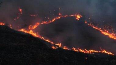 Udhampur Fire: Massive Blaze Erupts in Jammu and Kashmir's Kaldi Forest Area; Maximum Fire Brought Under Control, Says Forester (Watch Video)