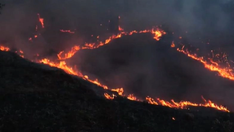 Udhampur Fire: Massive Blaze Erupts in Jammu and Kashmir's Kaldi Forest Area; Maximum Fire Brought Under Control, Says Forester (Watch Video)