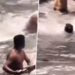 Uttarakhand: Chaos Occurs at Kempty Falls After Snake Enters Among Tourists Enjoying Bathing at Famous Waterfall Near Mussoorie, Video Goes Viral