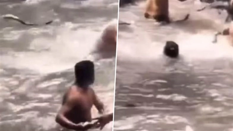 Uttarakhand: Chaos Occurs at Kempty Falls After Snake Enters Among Tourists Enjoying Bathing at Famous Waterfall Near Mussoorie, Video Goes Viral