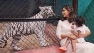 Baby Tigress Named After Ram Charan and Upasana&rsquo;s Daughter Klin Kaara, Couple Celebrates Her Birthday With Heartwarming Visit to Zoo (See Post)