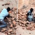 Leopard Attack in Lakhimpur Kheri: Man Fights Off Leopard After Big Cat Attacks Brick Kiln Workers in Uttar Pradesh, Videos Go Viral