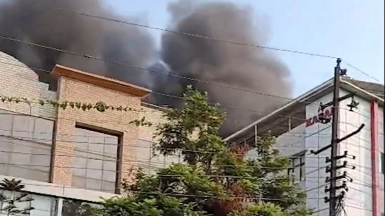 Noida Fire: Massive Blaze Erupts at Company in Uttar Pradesh, Video Shows Black Smoke Covering Skies (Watch)