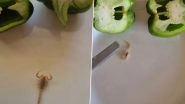 'New Fear Unlocked': Woman Finds Live Scorpion in Capsicum After Slicing Open Vegetable To Make Capsicum-Based Recipe, Shares Video on Instagram (Watch)