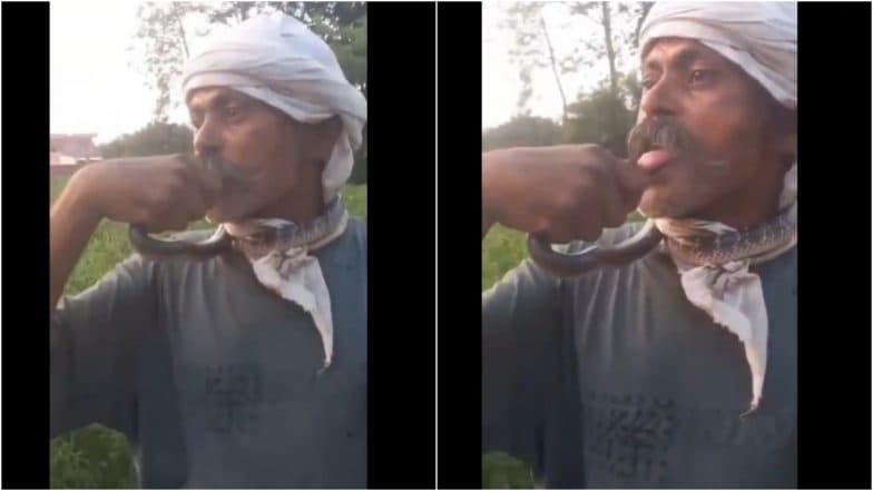 Kiss of Death? Snake Bites UP Man’s Tongue While Filming Instagram Reel, Leaves Him Fighting for Life