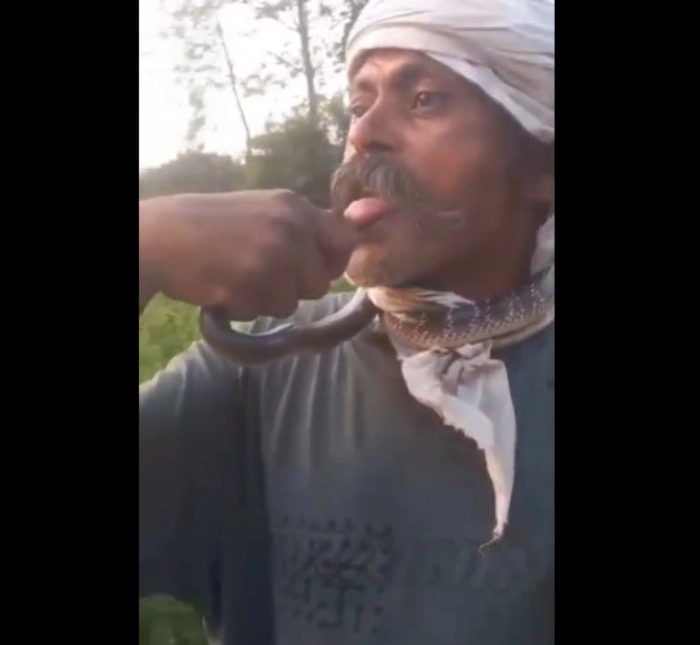 A 50‑year‑old marginal farmer, Jitendra Kumar, in Uttar Pradesh was critically injured after being bitten on the tongue by a snake while attempting to film a social media reel.