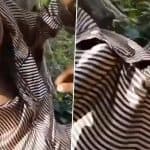 Snake Inside Shirt Video: Terrifying Clip Shows Snake Crawling Into Man’s Shirt, Safely Rescued; Old Video Goes Viral Again