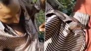 Snake Inside Shirt Video: Terrifying Clip Shows Snake Crawling Into Man's Shirt, Safely Rescued; Old Video Goes Viral Again