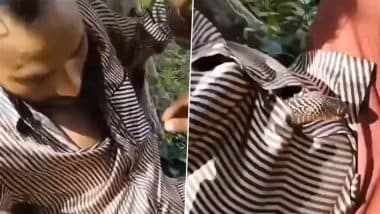 Snake Inside Shirt Video: Terrifying Clip Shows Snake Crawling Into Man's Shirt, Safely Rescued; Old Video Goes Viral Again